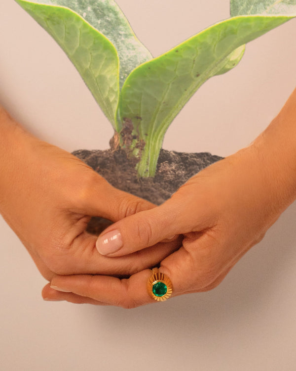 Editorial image of a model's hands holding a plant while wearing an emerald ring on a light colored background
