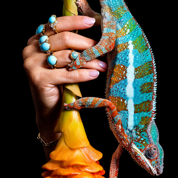 Maximalist Collection jewelry pieces shown on a model's hand that's holding a bright, citrus-colored flower with a brightly colored iguana, on a neutral-light background.