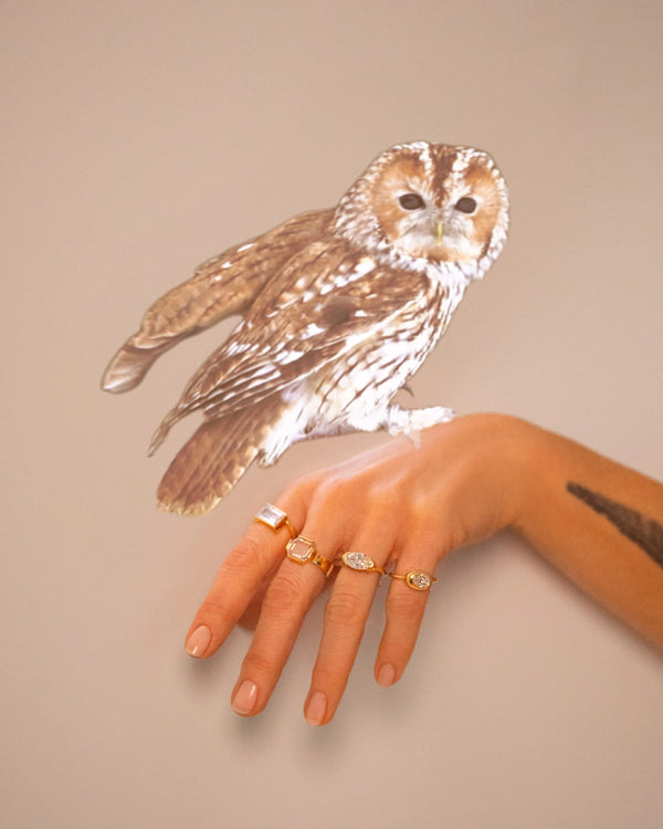 Editorial image of an owl sitting on a model's hand wearing four diamond rings