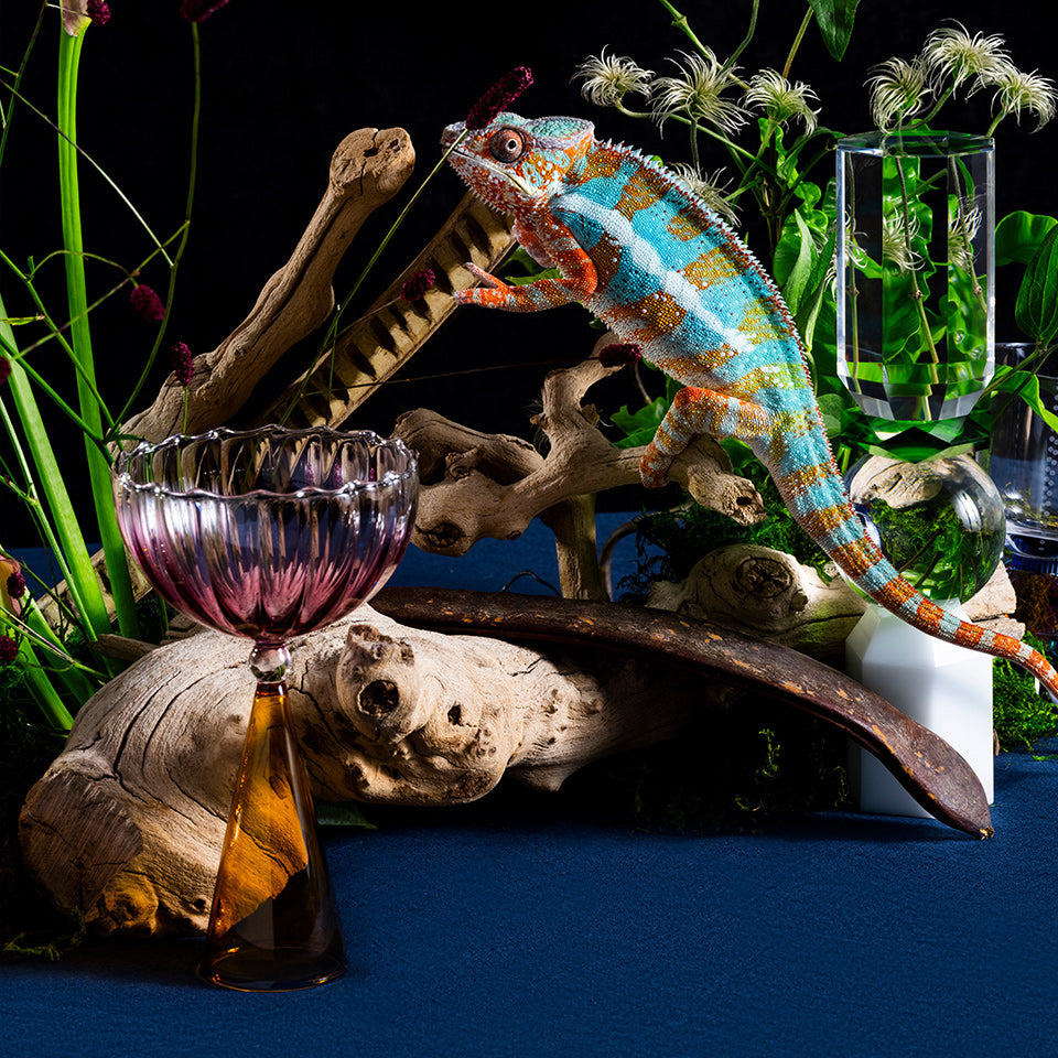 Party Animals Collection glassware with a brightly colored iguana, on navy tabletop with lush, green plants.