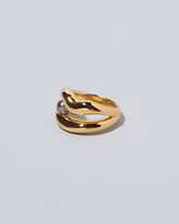 View from the side of the Ocean of Unity Ring on light color background.