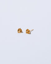 Super Yellow Beryl Martini Stud Earrings on light color background.