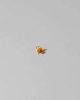 Daffodil Charm on light color background.