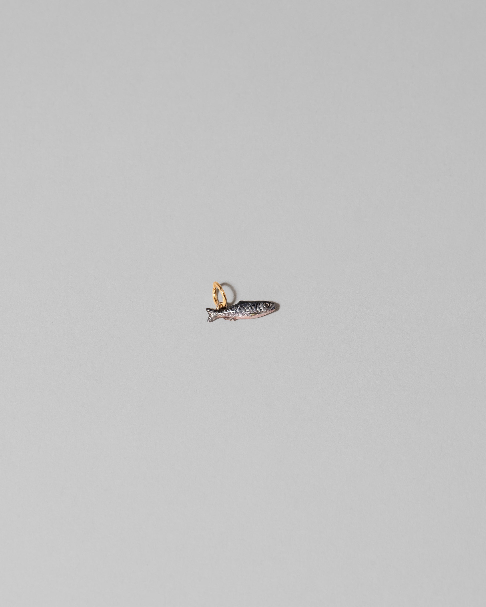 Sardine Fish Charm on light color background.