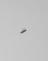 View from the side of the Sardine Fish Charm on light color background.