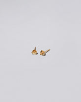 Kaleidoscope Yellow Sapphire Martini Stud Earrings on light color background.