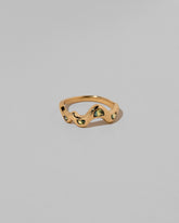 Past version of the Sapphire Wild Poppies Band on light color background.