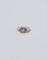 Basin Ring on light color background.
