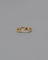 Gold Thin Fluctuating Band on light color background.
