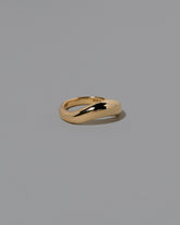 View from the side of the Gold Level Band on light color background.