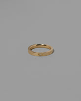 Gold Yellow Beryl 3mm Baguette-Set Piet Band on light color background.