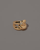 One Ring on grey color background.