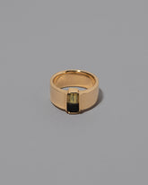 Double Ring on grey color background.