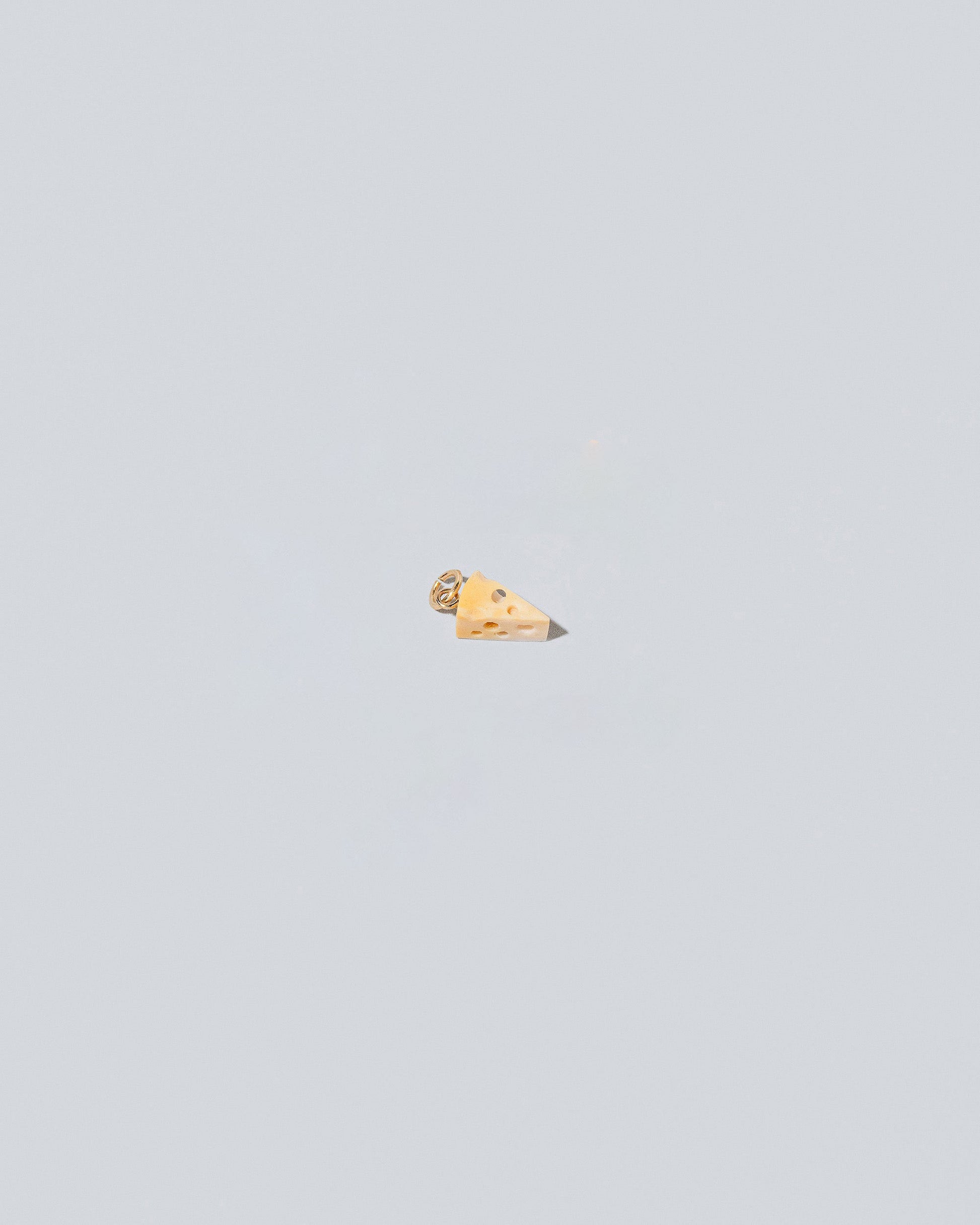 Swiss Cheese Charm on light color background.