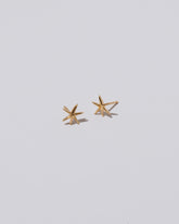 Shape Two Small Verve Six Point Star Stud Earrings on light color background.
