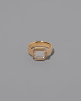 Envelop Ring on grey color background.