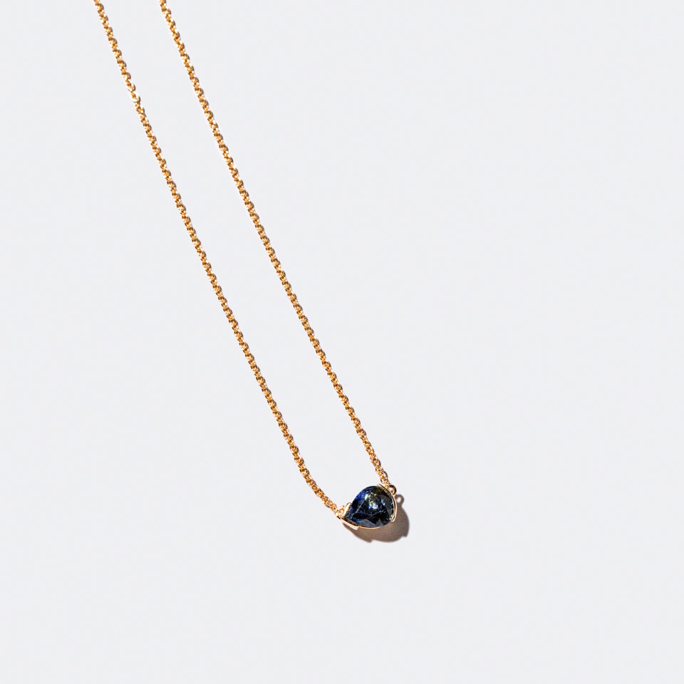 product_details:: Product photo of Scale Necklace on a light color background