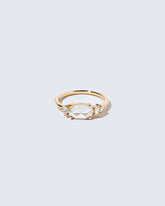 Rosarian Ring on light color background.