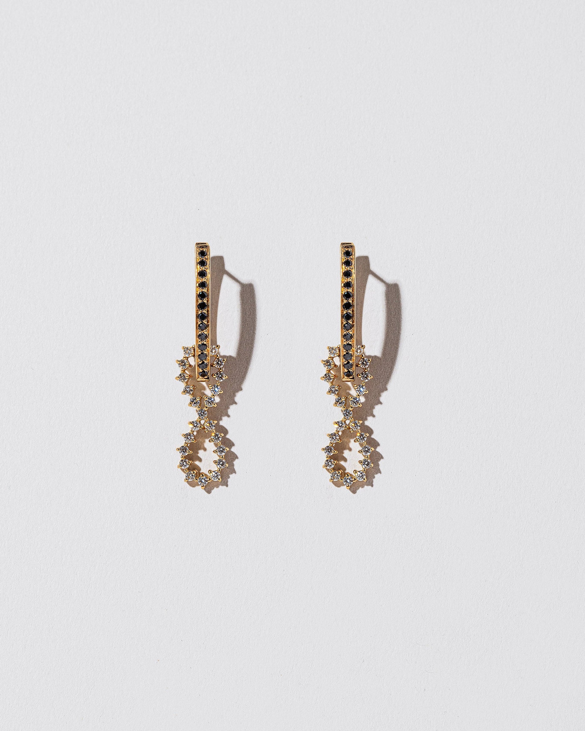 Black Diamond and White Diamond Lifecycle Earrings on light color background.