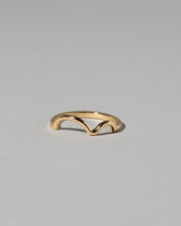 Wiggle Band - Solid on light color background.