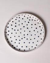 Recreation Center Dot Dinner Plate on light color background.