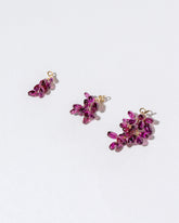 Table Grapes Charm on light color background.