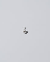 Silver garlic charm on light colored background