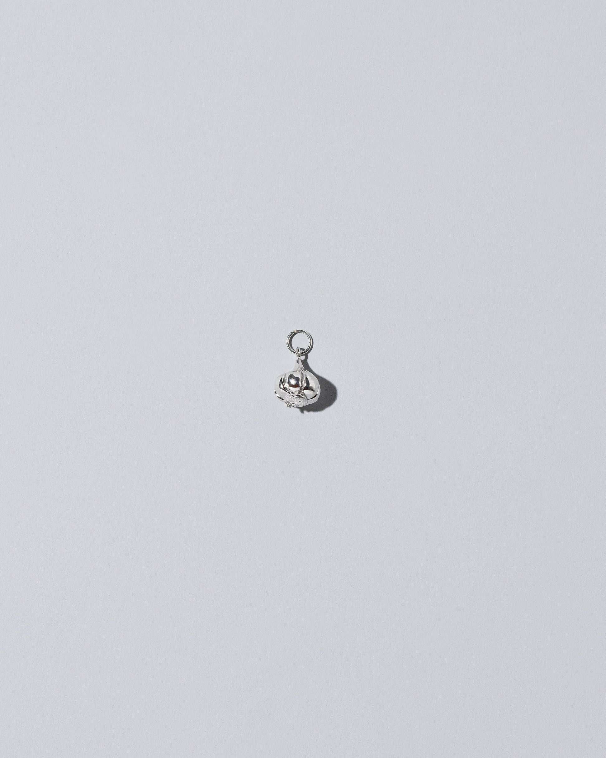 Silver garlic charm on light colored background