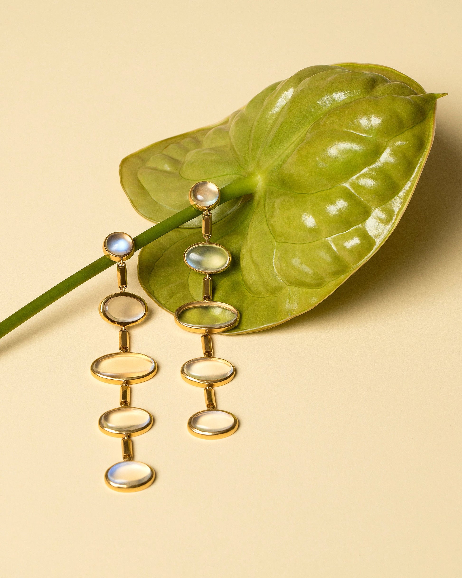 Moonstone Drop Earrings on light color background.