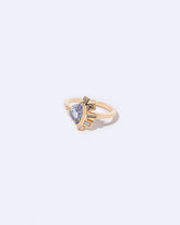 Hitchen's Ring on light color background.