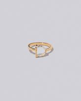 Pitch Ring on light color background.
