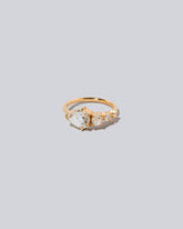 Perennial Rings on light color background.