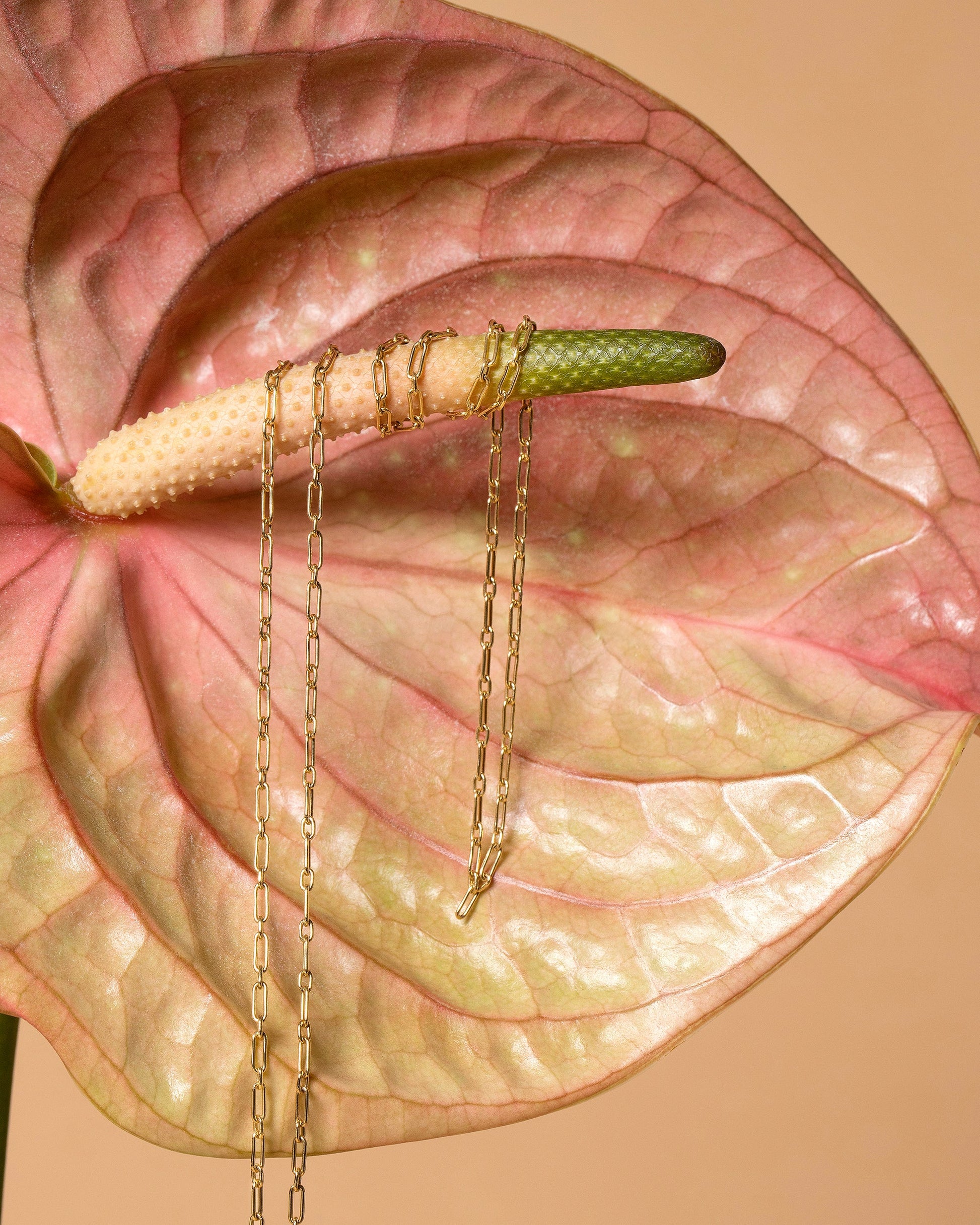 Hotdog Chain Necklace on light color background.