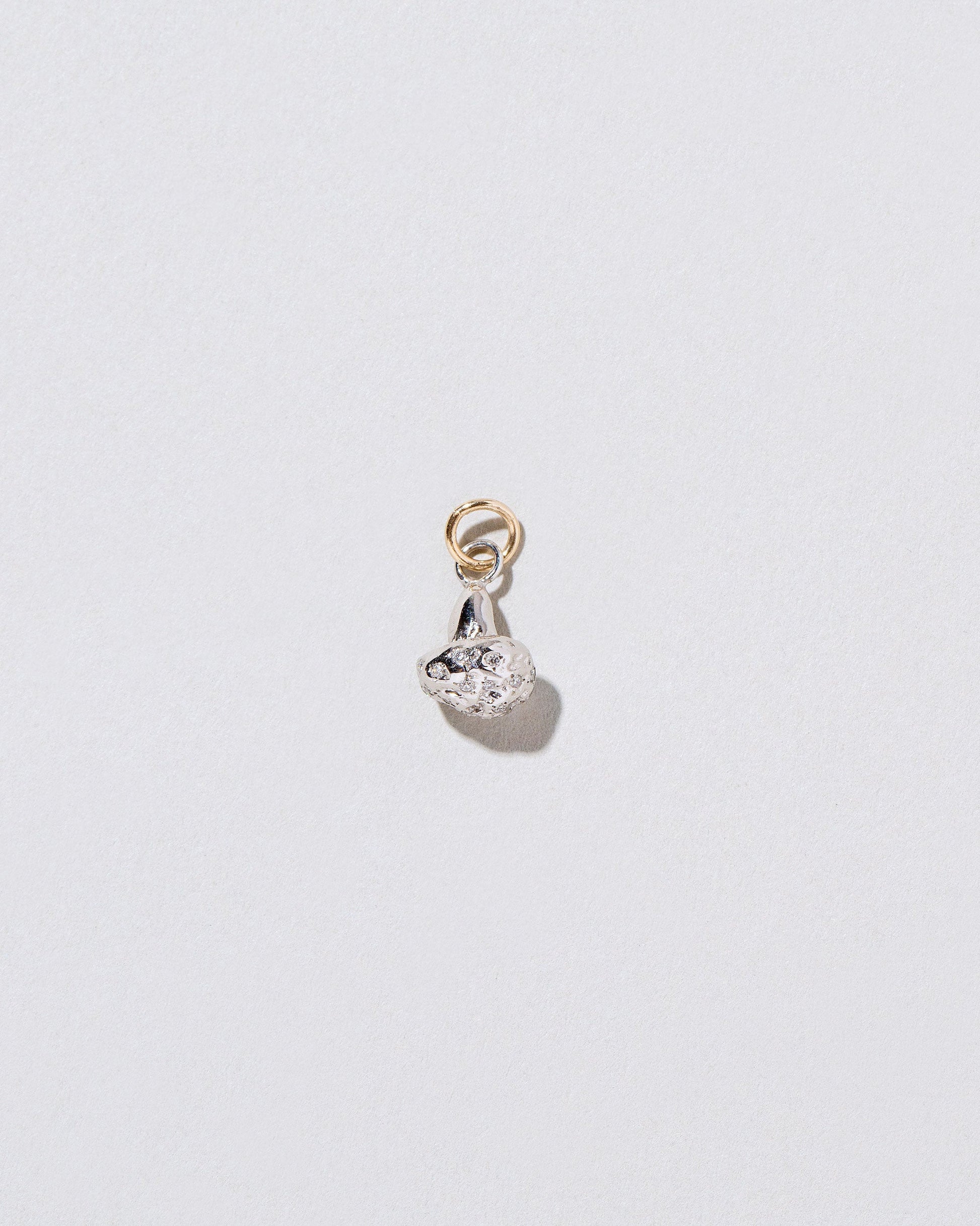 Cauliflower Charm on light color background.