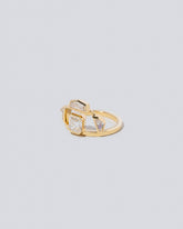 Guardian Ring on light color background.