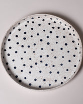 Recreation Center Dot Dinner Plate on light color background.