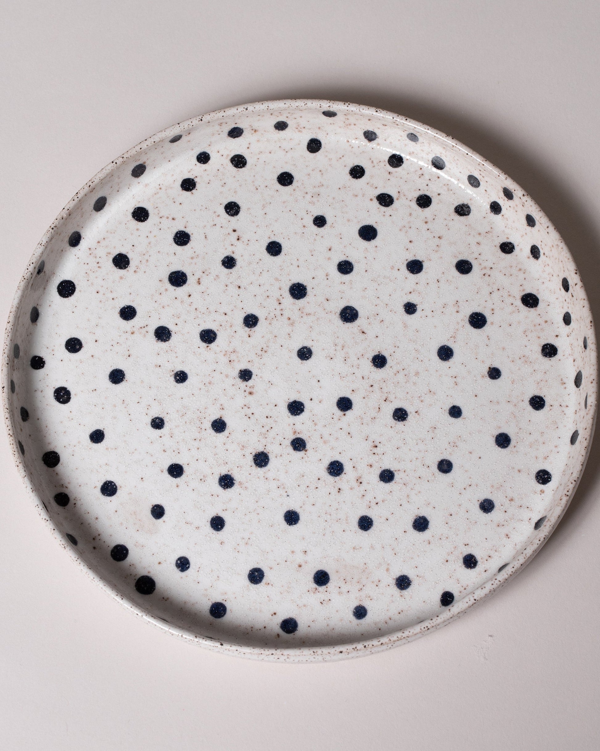Recreation Center Dot Dinner Plate on light color background.