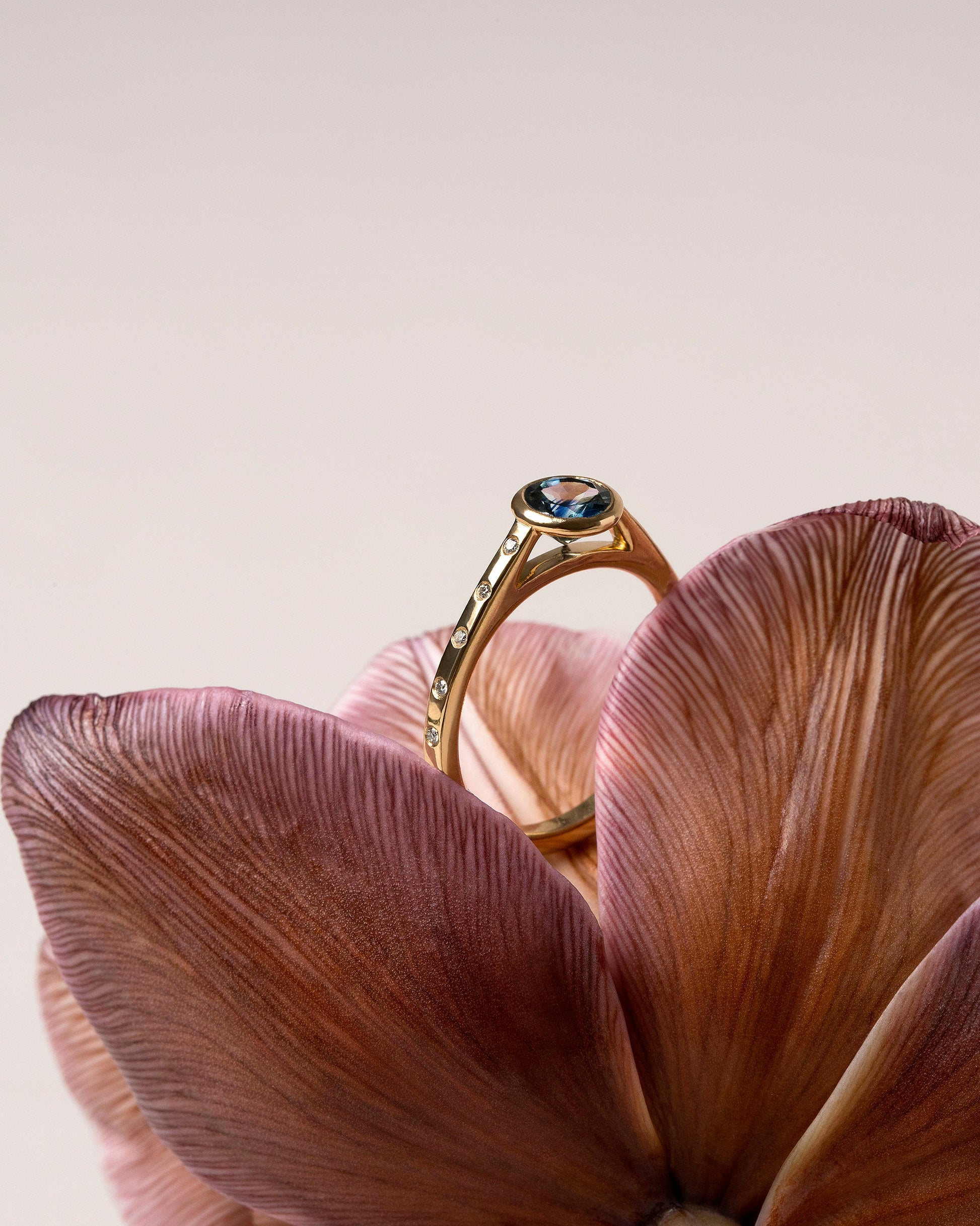 Calatrava Ring - Blue Sapphire on light color background.