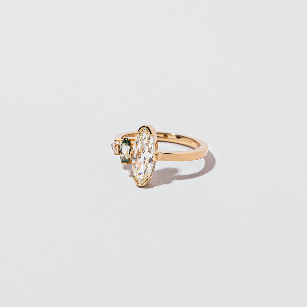 product_details:: Parks Ring on light color background.