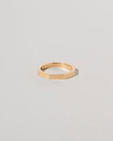 Segmented Band - 2mms on light color background.