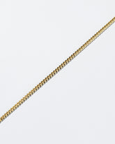 Curb Chain Necklace on light color background.
