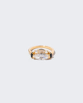 Structure of the Cosmos Ring on light color background.