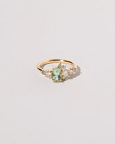 Arbor Ring on light color background.