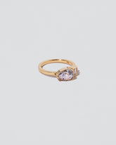 Fixation Ring on light color background.