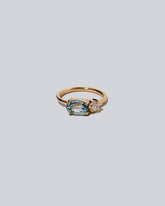 Product photo of Lupine Ring on a light color background