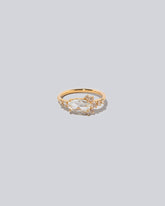 Midori Rings on light color background.