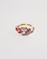 Dianthus Ring on light color background.