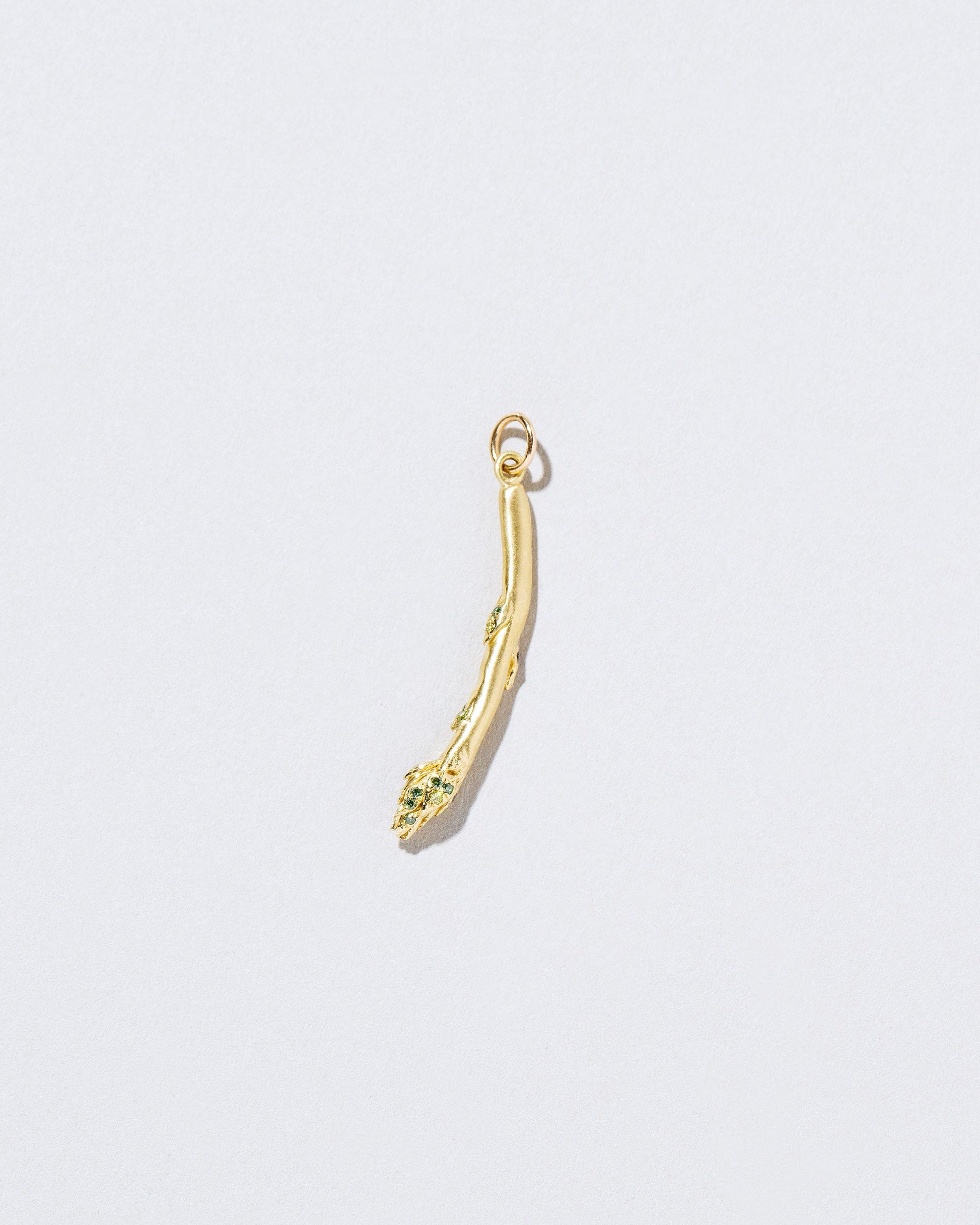 Asparagus Charm on light color background.