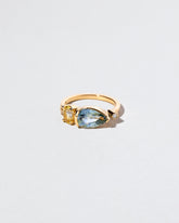 Lightwood Ring on light color background.