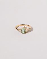 Arbor Ring on light color background.